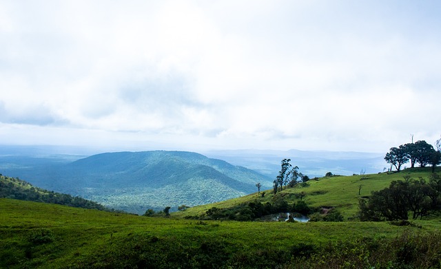 全国室内跳 全国室内跳