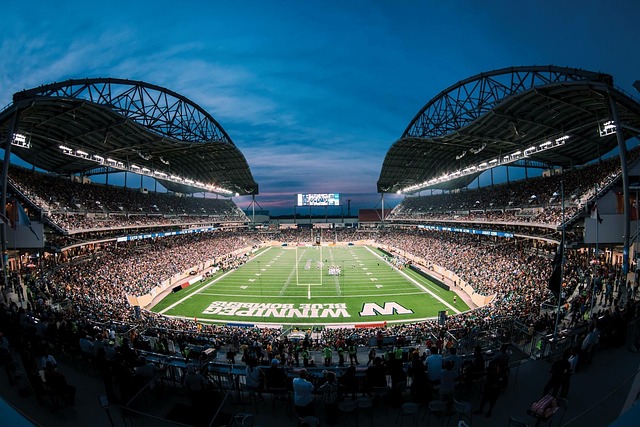 女子世界杯 女子世界杯