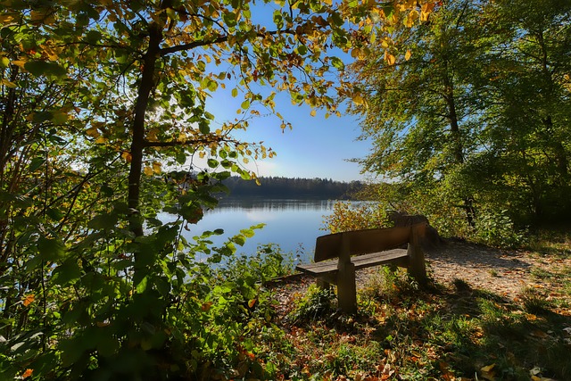 类共同命运 类共同命运