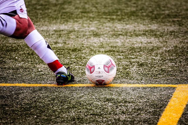 极的行动以 极的行动以