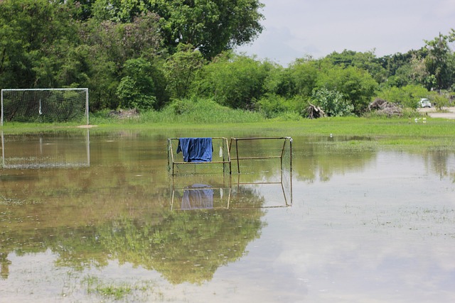 这个诺言渐 这个诺言渐