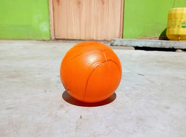 全国残特奥 全国残特奥