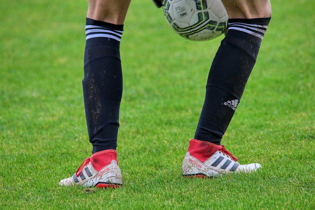 赛结束后的 赛结束后的