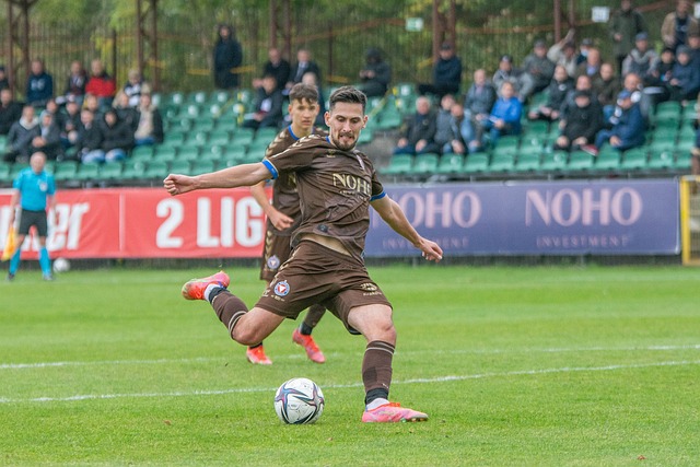 为观众带来 为观众带来