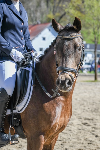 如果说边后 如果说边后