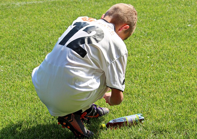 的职业生涯 的职业生涯