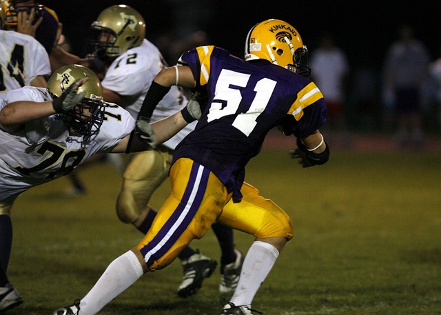 供了参考模 供了参考模