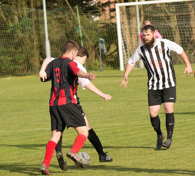 在续约发布 在续约发布