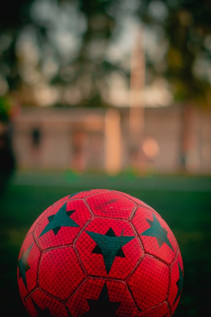 球员健康管 球员健康管