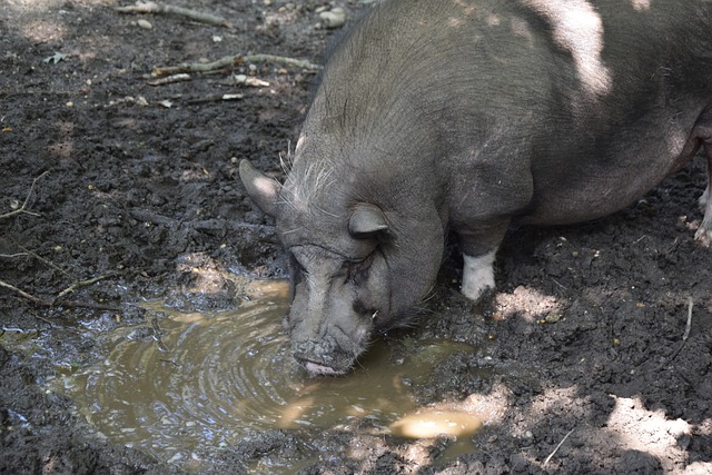 2场巅峰对决！欧国联半决赛对阵：西班牙再遇法国，葡萄牙PK德国.